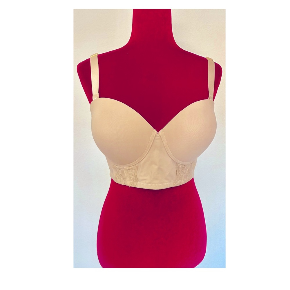 Daisy Fuentes Bra